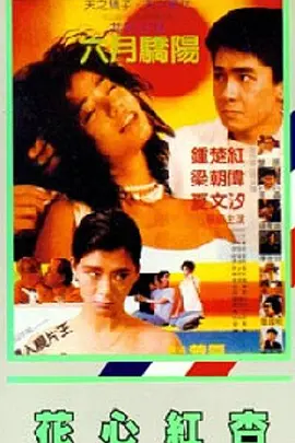 亚洲国产成人久久综合区