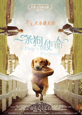 先锋影音色资源站